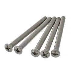 AXA śruby dodatkowe do szyldów AXA F6/F9 inox/tytan - 100 mm Inox